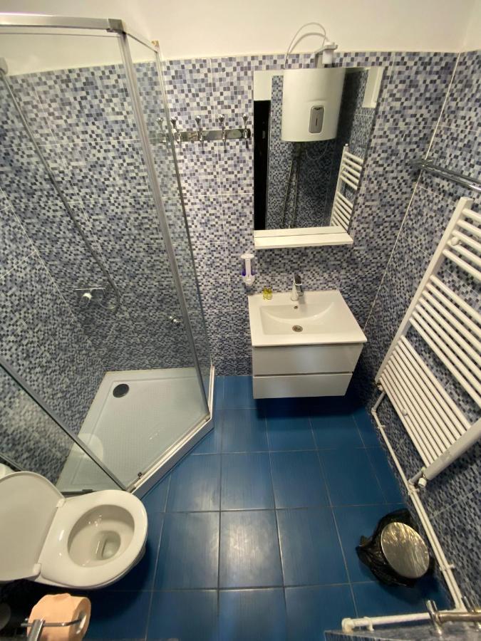 Vila Amalia Muntii Macinului エクステリア 写真