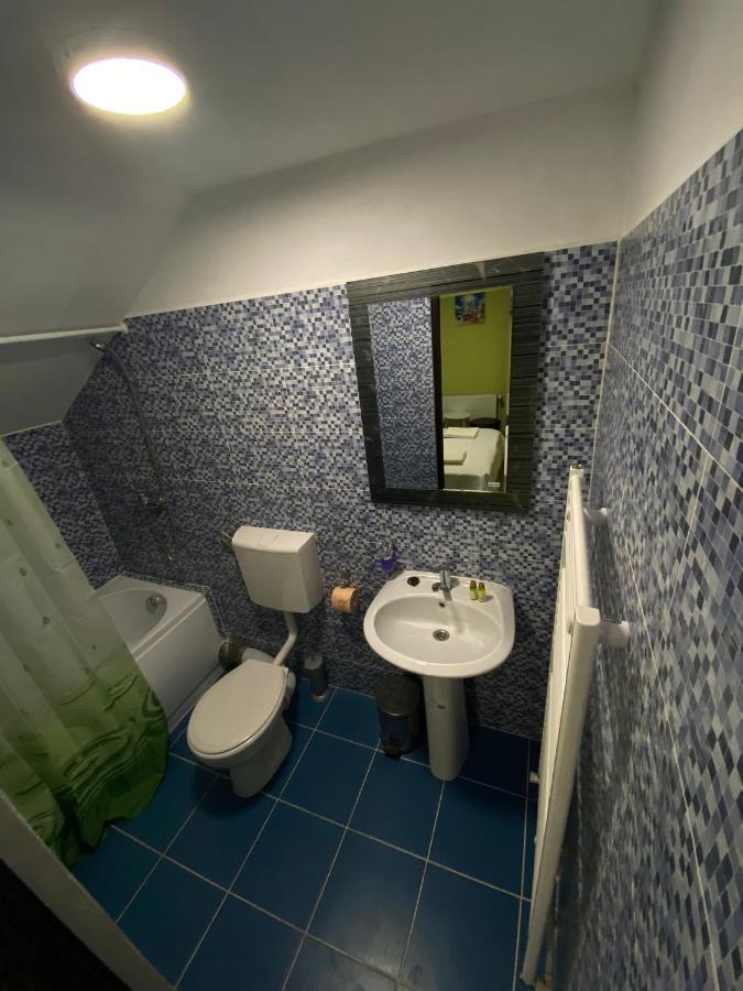 Vila Amalia Muntii Macinului エクステリア 写真
