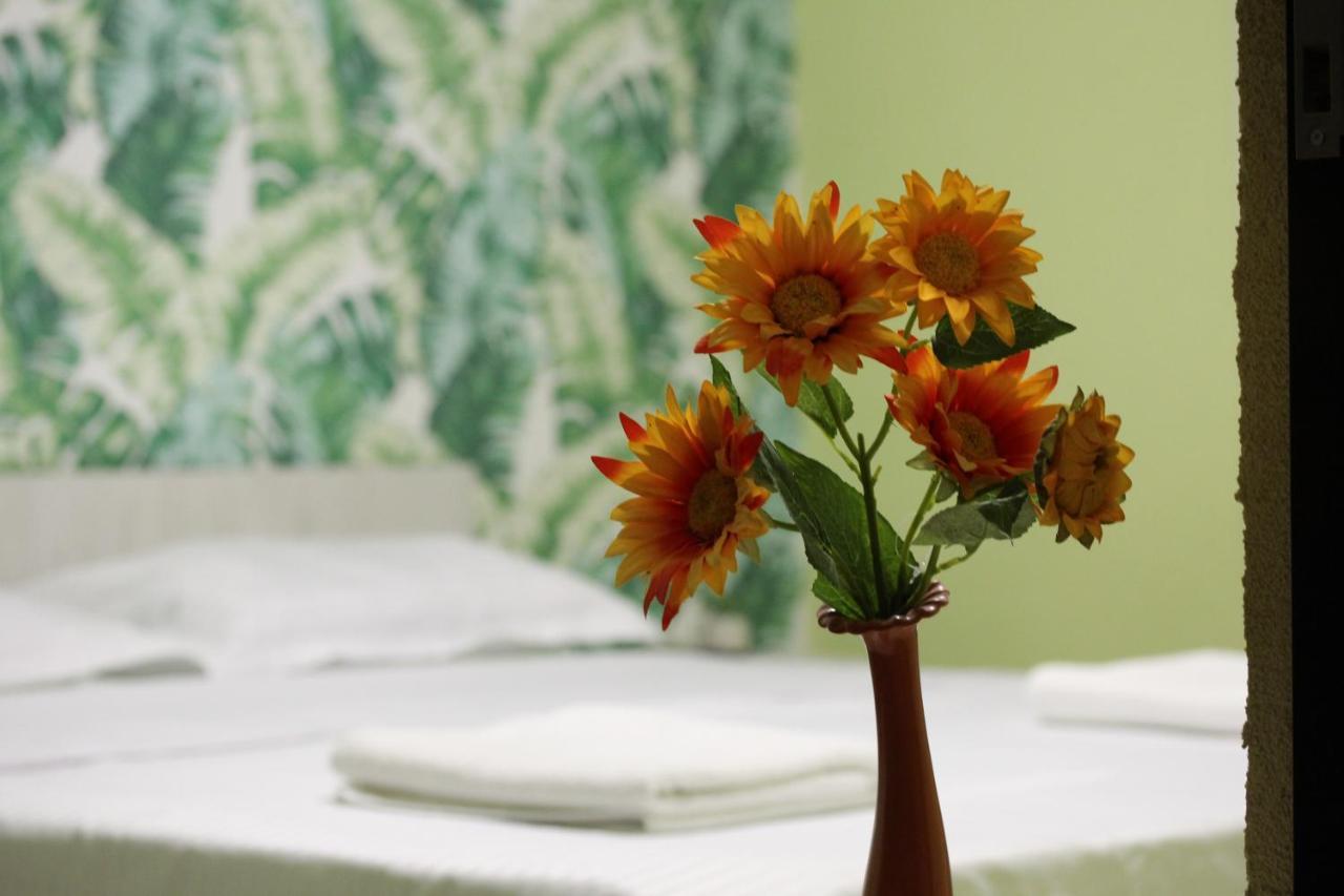 Vila Amalia Muntii Macinului エクステリア 写真