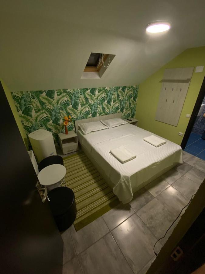 Vila Amalia Muntii Macinului エクステリア 写真